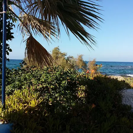 Campsite Camping Caravan Hersonissos (Crete)